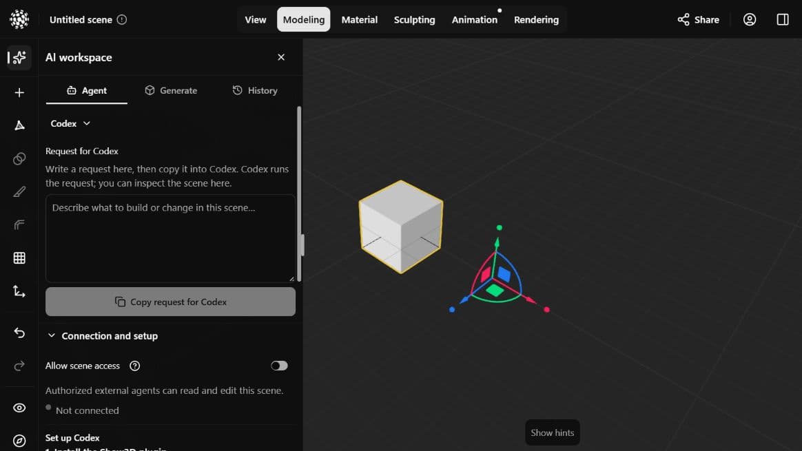 Codex → Connection and setup; scene access is off in this screenshot